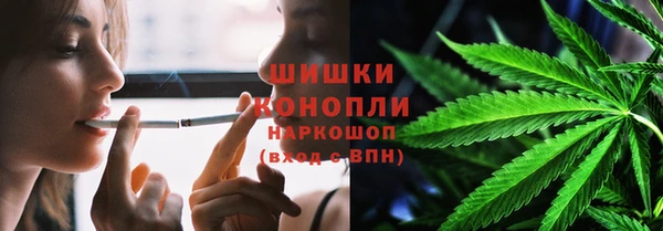 гашик Лабытнанги