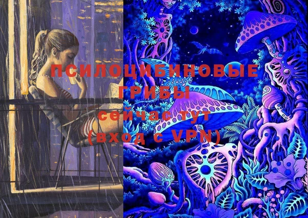 гашик Лабытнанги