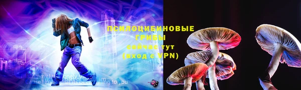 гашик Лабытнанги