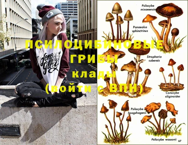 гашик Лабытнанги