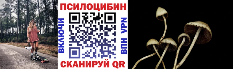 Галлюциногенные грибы GOLDEN TEACHER  хочу наркоту  Тбилисская 